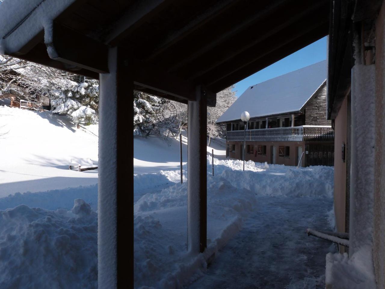Résidence Le Bois de la Reine Super Besse Exterior foto