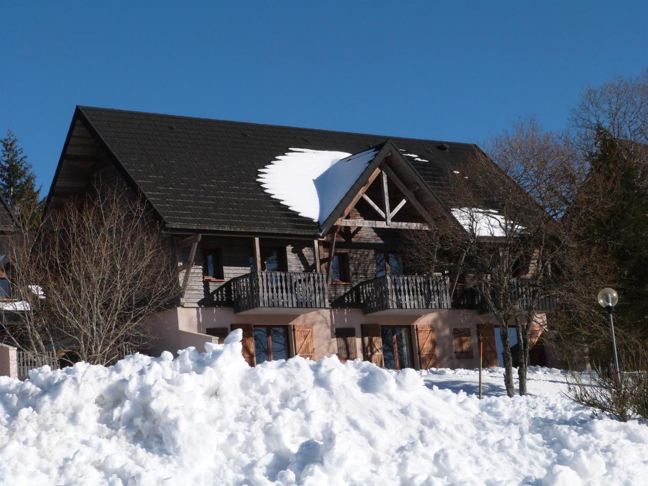 Résidence Le Bois de la Reine Super Besse Exterior foto