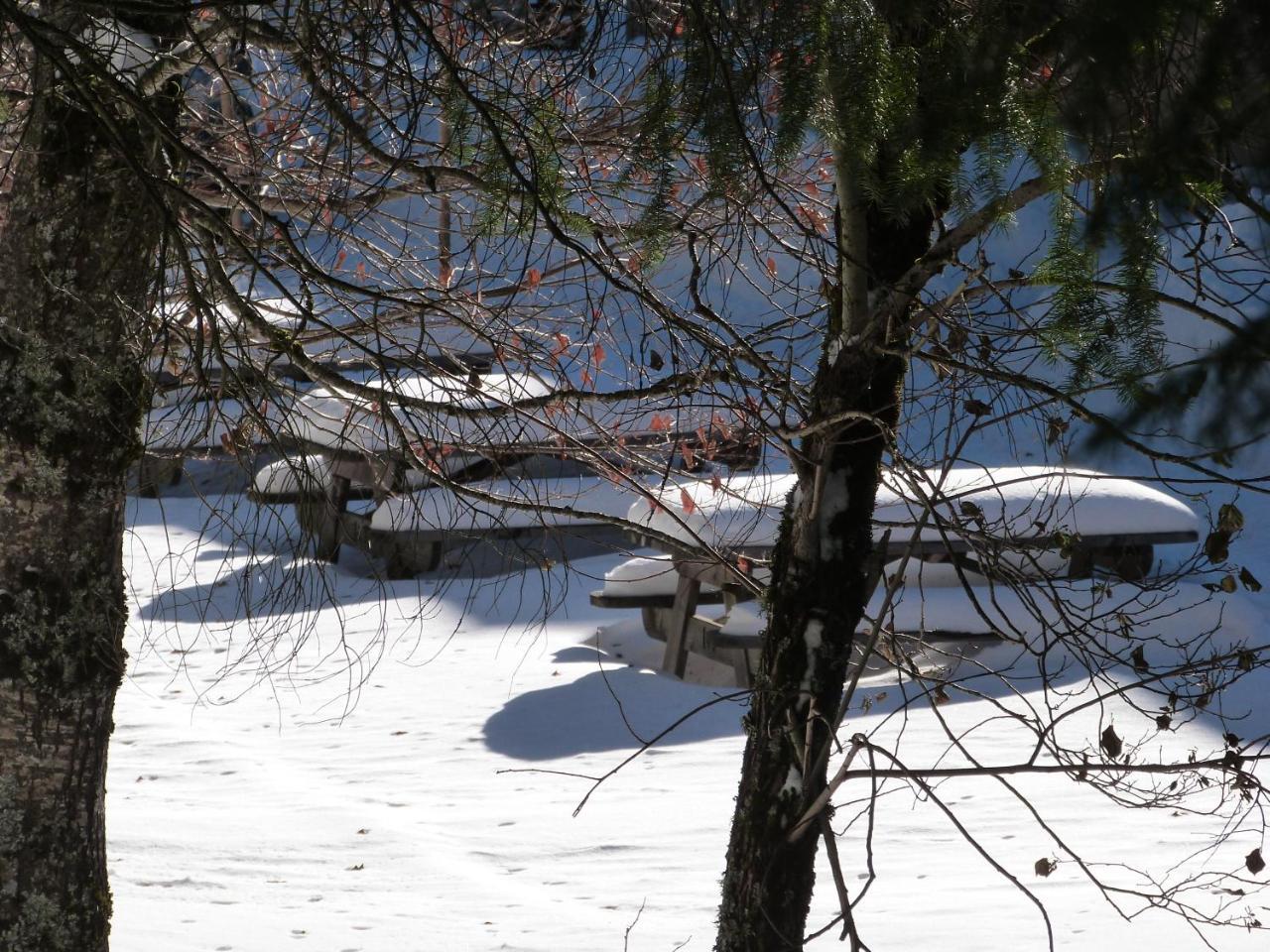 Résidence Le Bois de la Reine Super Besse Exterior foto