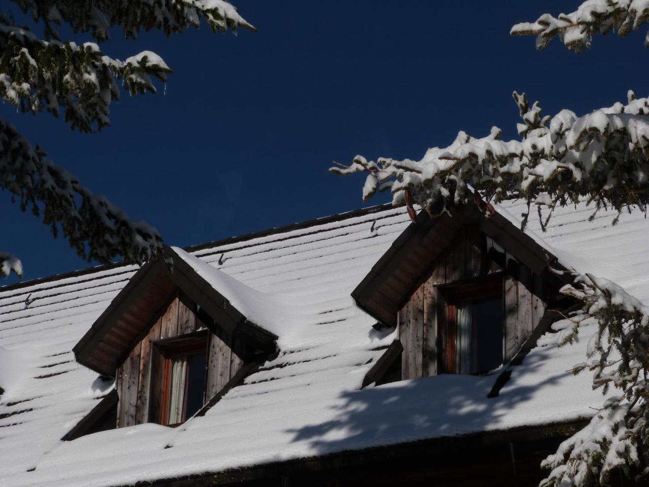 Résidence Le Bois de la Reine Super Besse Exterior foto