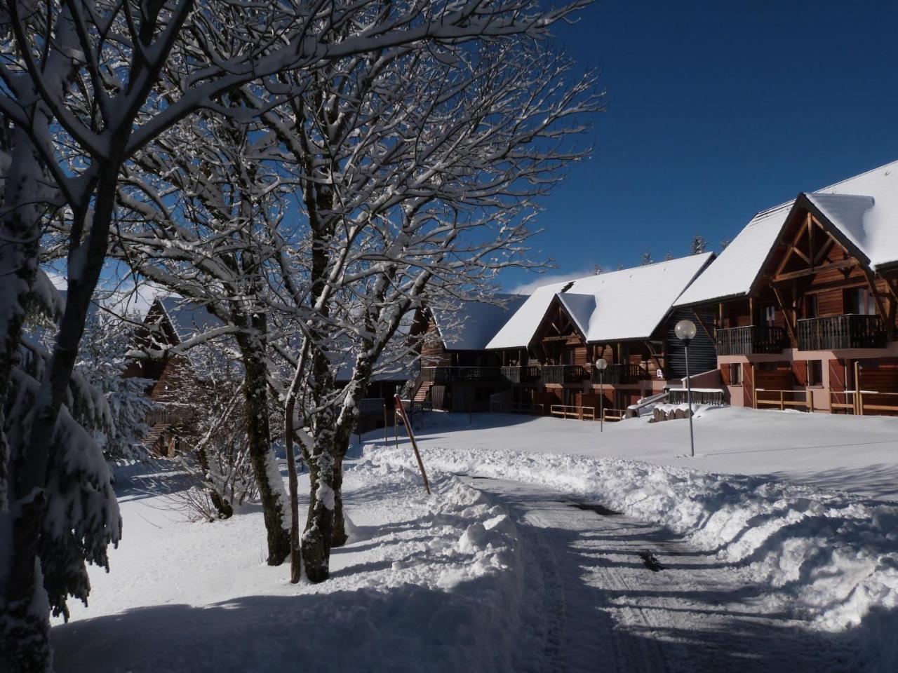 Résidence Le Bois de la Reine Super Besse Exterior foto